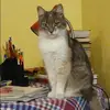 Отзыв от Венера Комиссарова